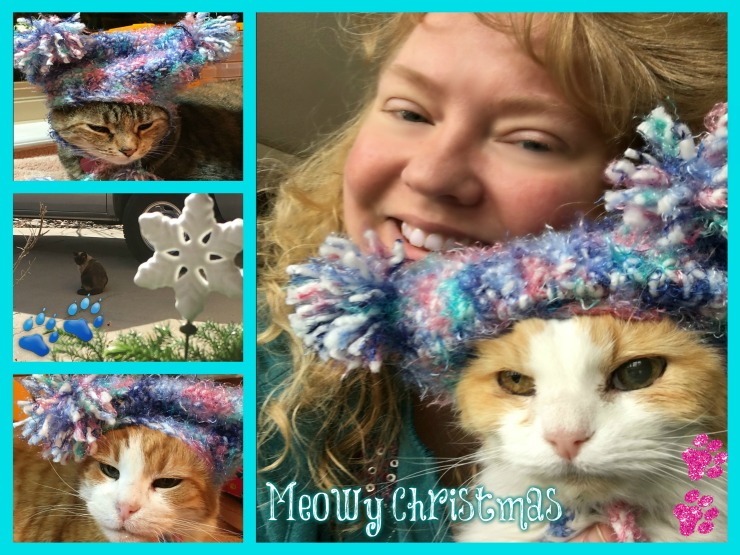Meowy Christmas Cat collage